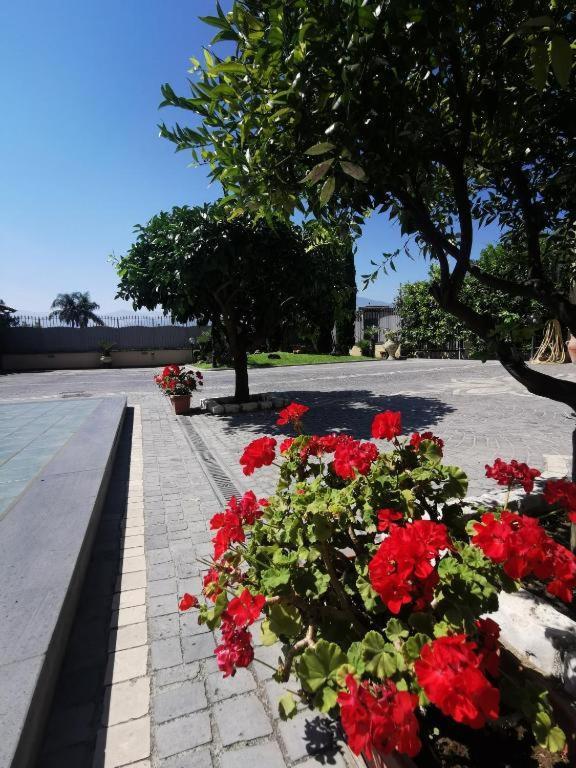 B&B Atrium Pompei Exterior foto
