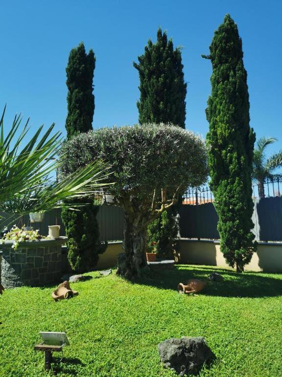 B&B Atrium Pompei Exterior foto